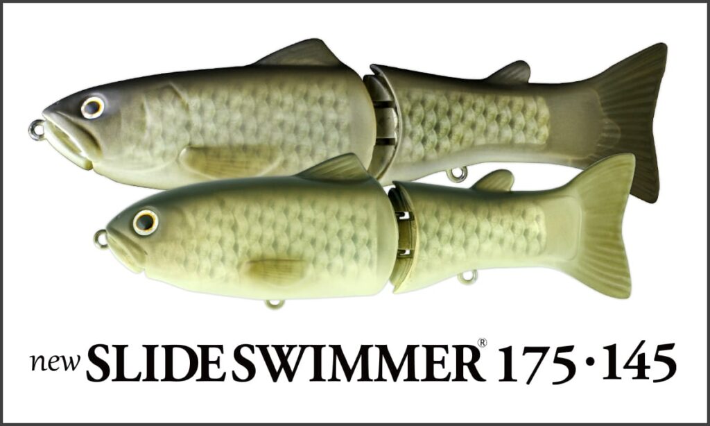 SlideSwimmer175145-1-1024x614