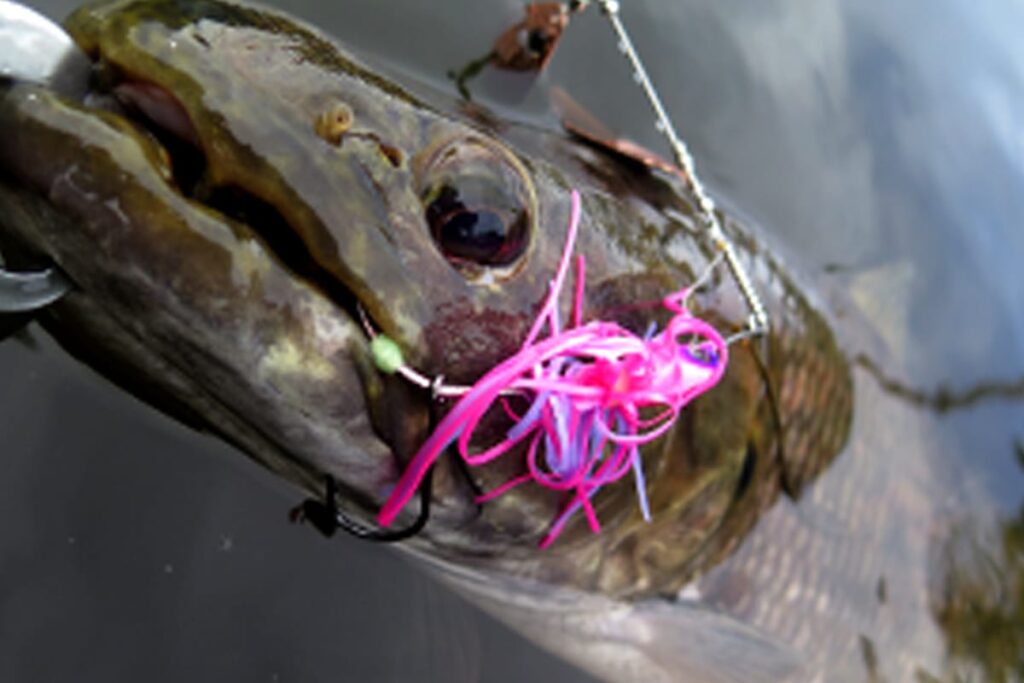 HUGE SPINNERBAIT_skirtholder3