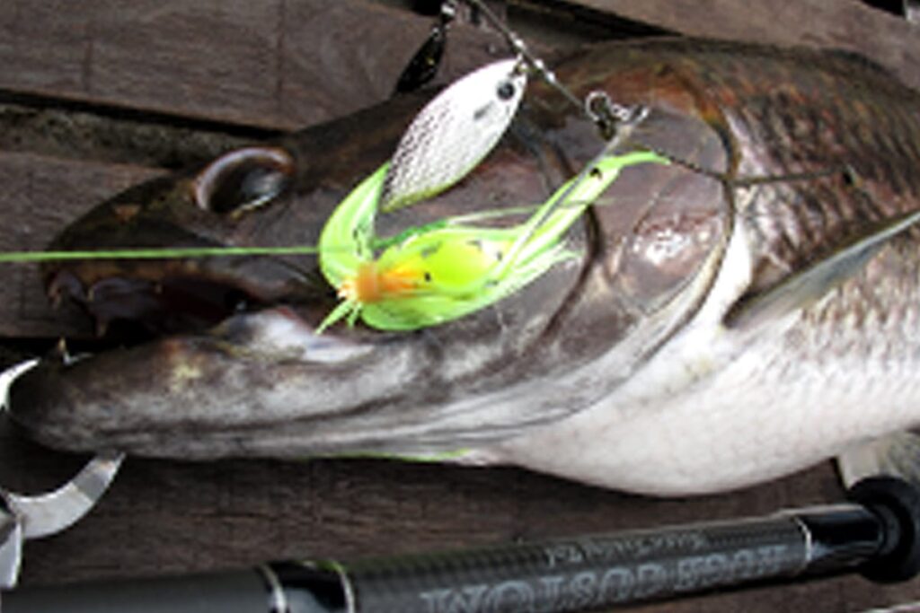 HUGE SPINNERBAIT_targetfish4