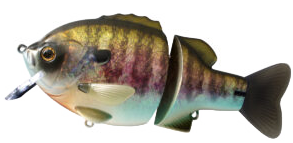 02-Flash-Bluegill