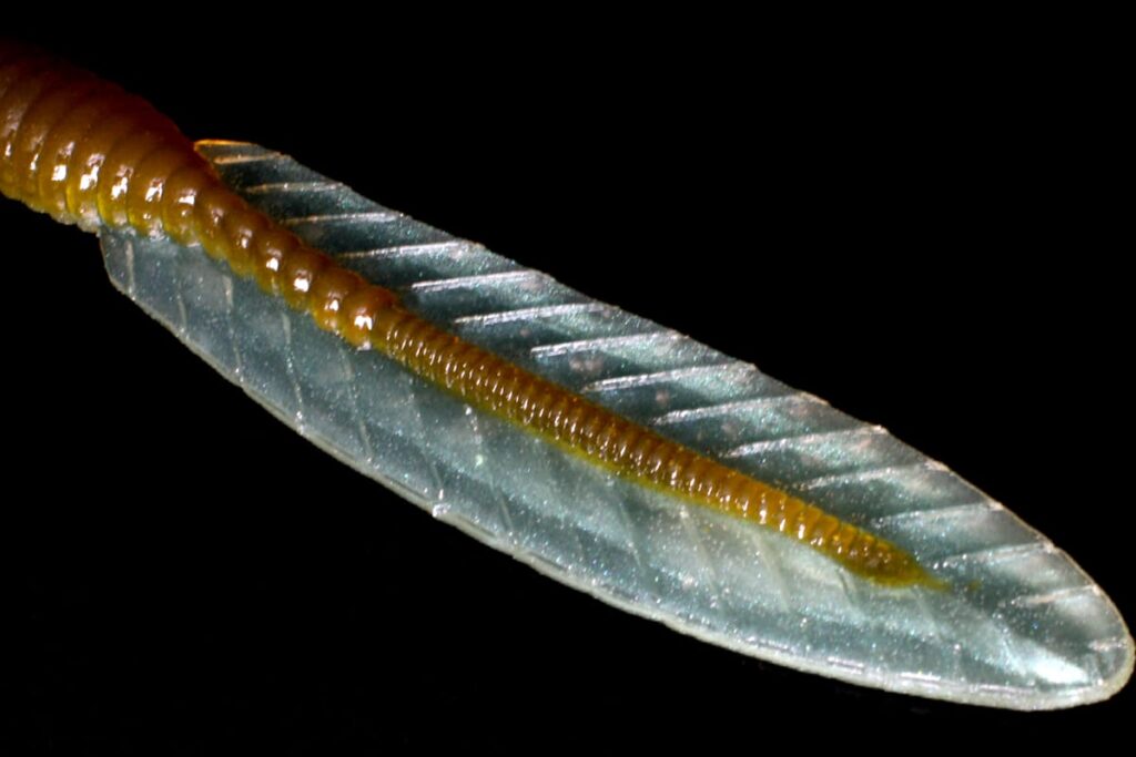 DEATHADDER EEL_deps_tail